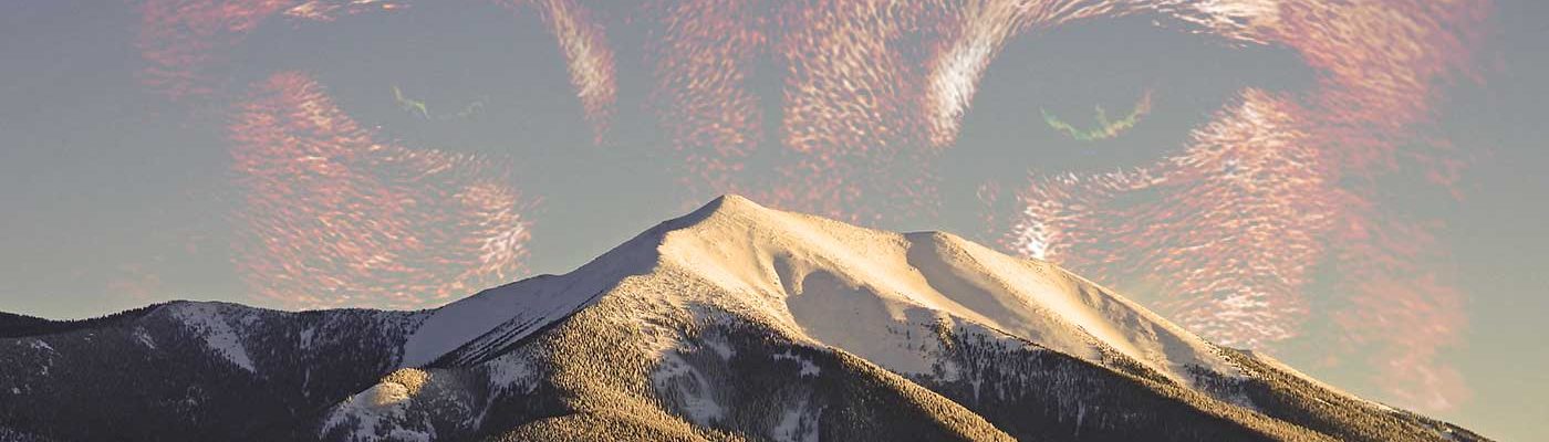 Mountain Cat Design